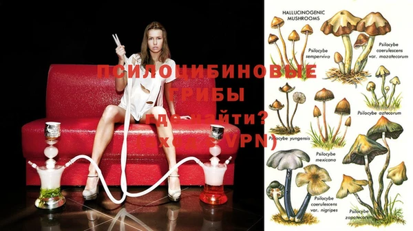 дмт Арсеньев