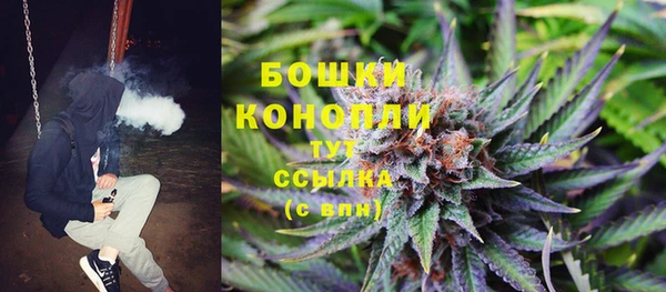 дмт Арсеньев