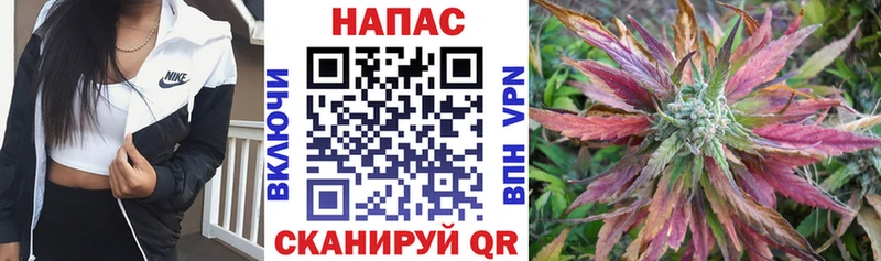 Шишки марихуана индика  купить наркотик  Никольск 